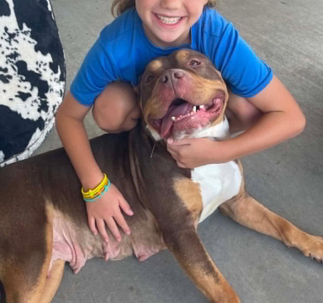 Wanda (AO36026), a ADOPTABLE mixed breed in Kansas City, KS image 3/6