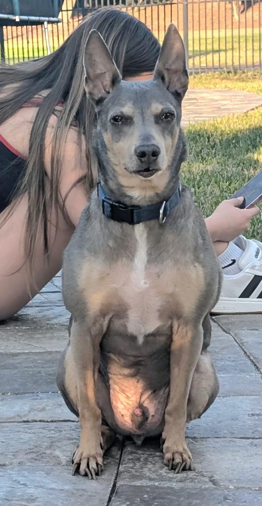 Remy — thumbnail 2