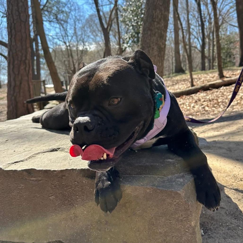 Prada — thumbnail 2