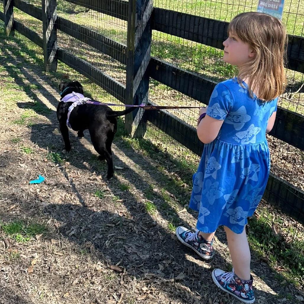 Prada — thumbnail 3