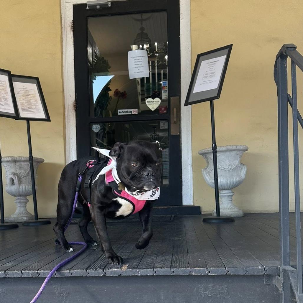 Prada — thumbnail 5