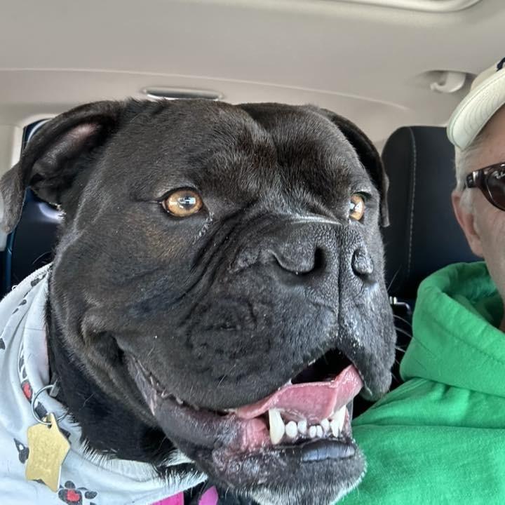 Prada — thumbnail 6