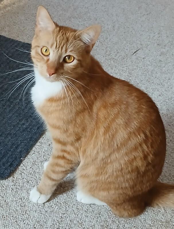 Sundance — thumbnail 2