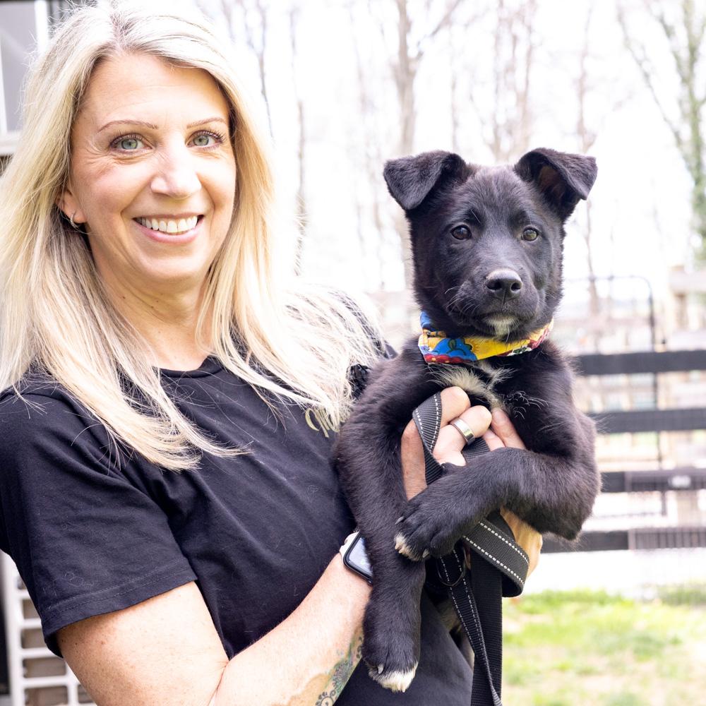 Enlarge Chives  (Male)   , a Adoptable mixed breed in West Grove, PA image 6/6