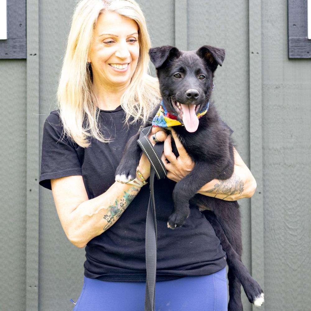 Enlarge Chives  (Male)   , a Adoptable mixed breed in West Grove, PA image 3/6