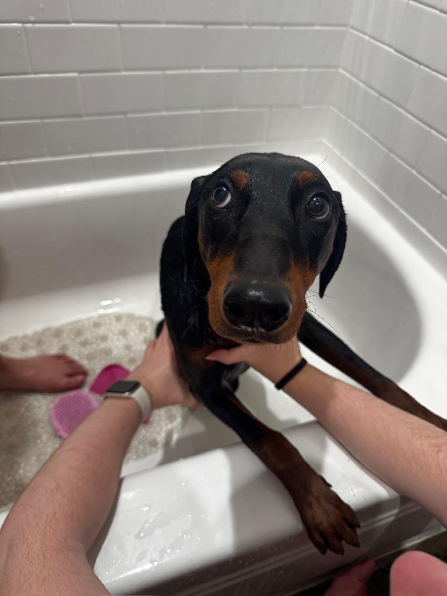 Cleo thumbnail 4