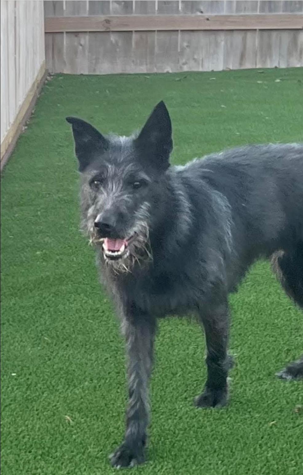 Pecos — thumbnail 2