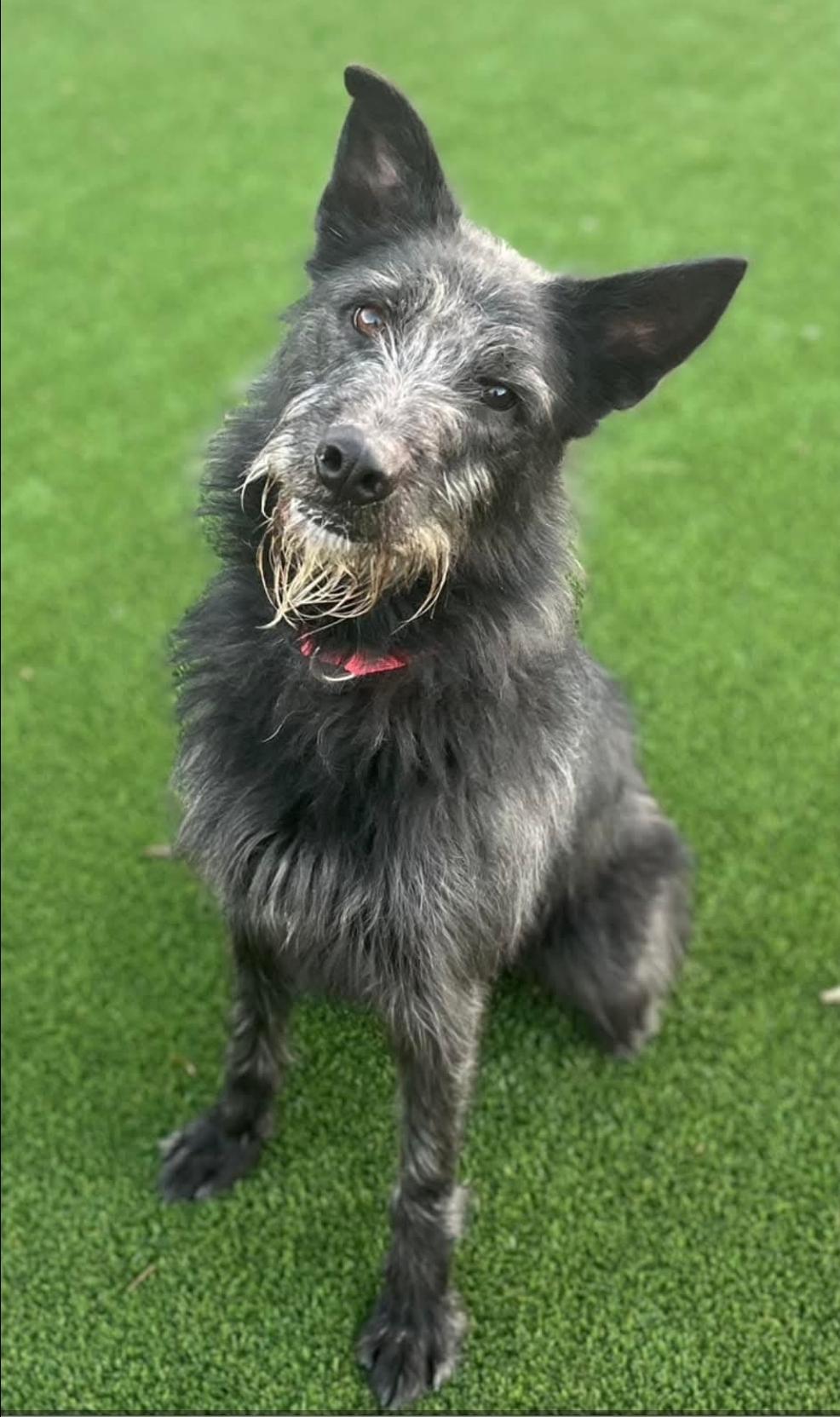 Pecos — thumbnail 3