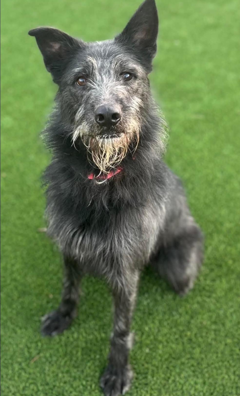 Pecos — thumbnail 4