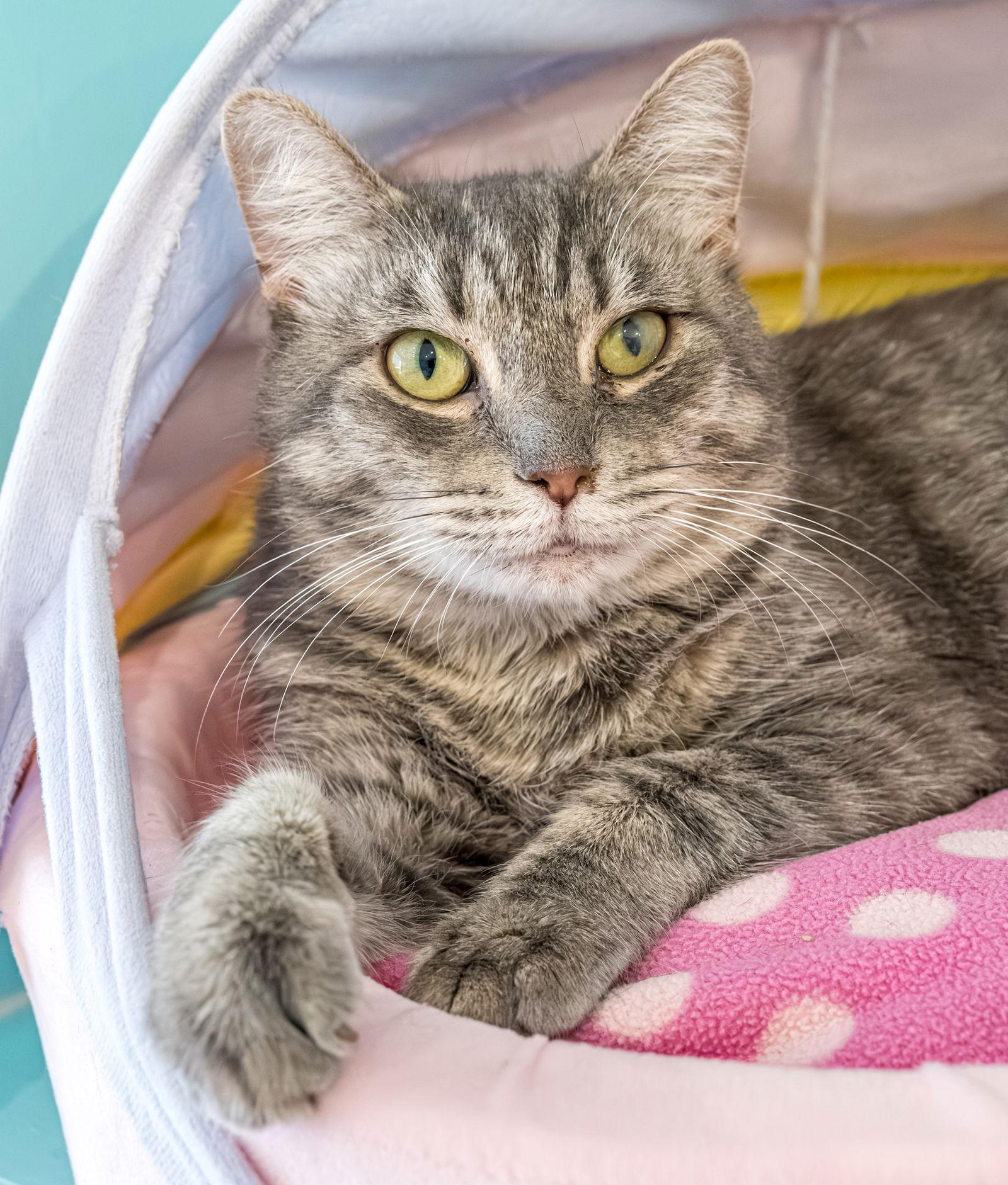 Frog Princess  Kbc thumbnail 4