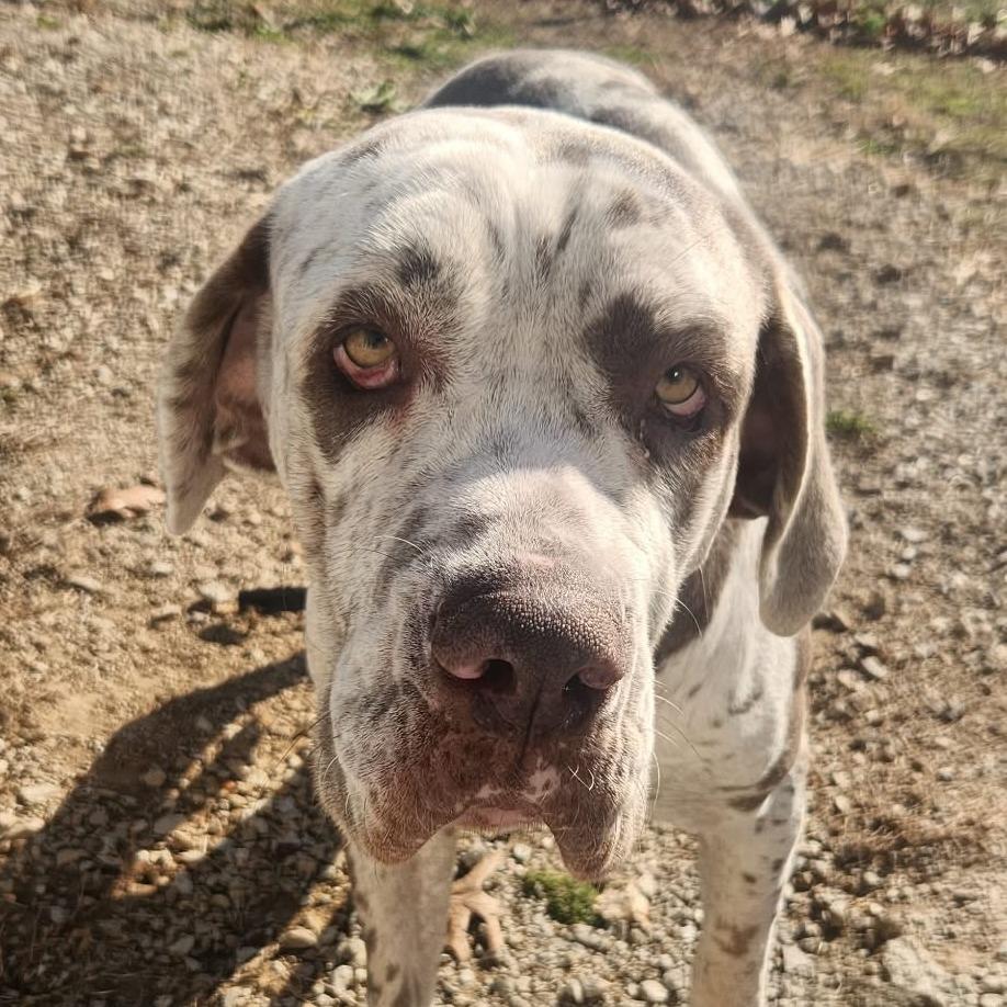 Cherry  Missouri thumbnail 3