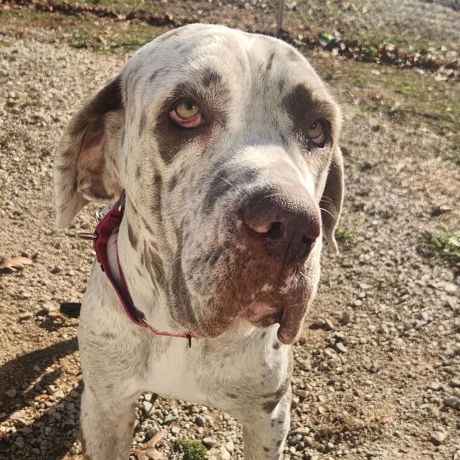 Cherry  Missouri thumbnail 5