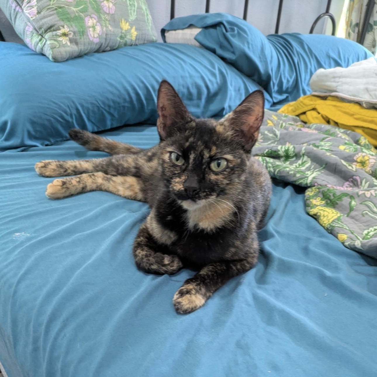 Lucille photo