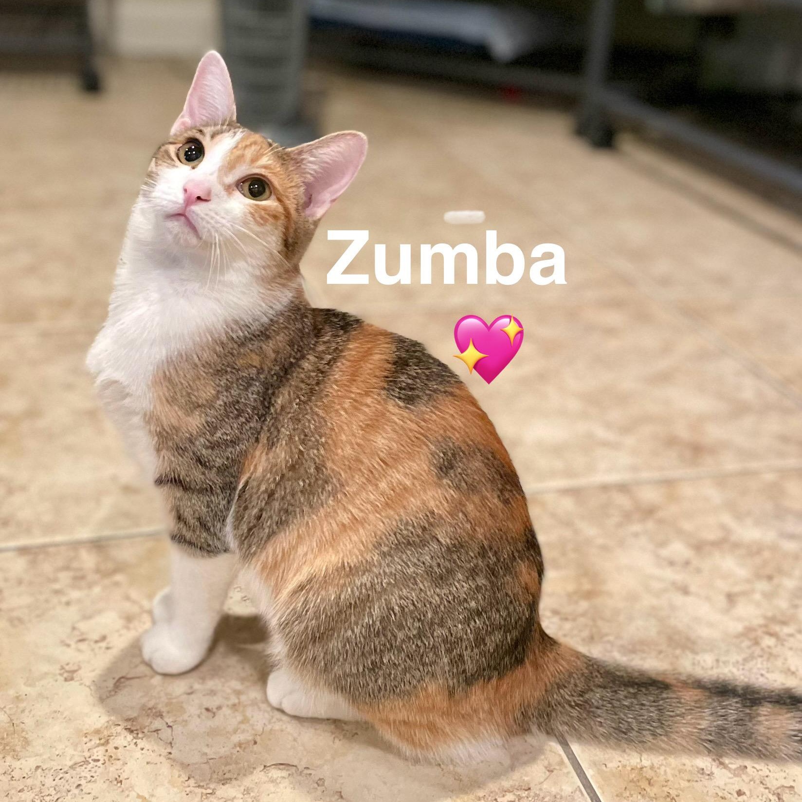 Zumba