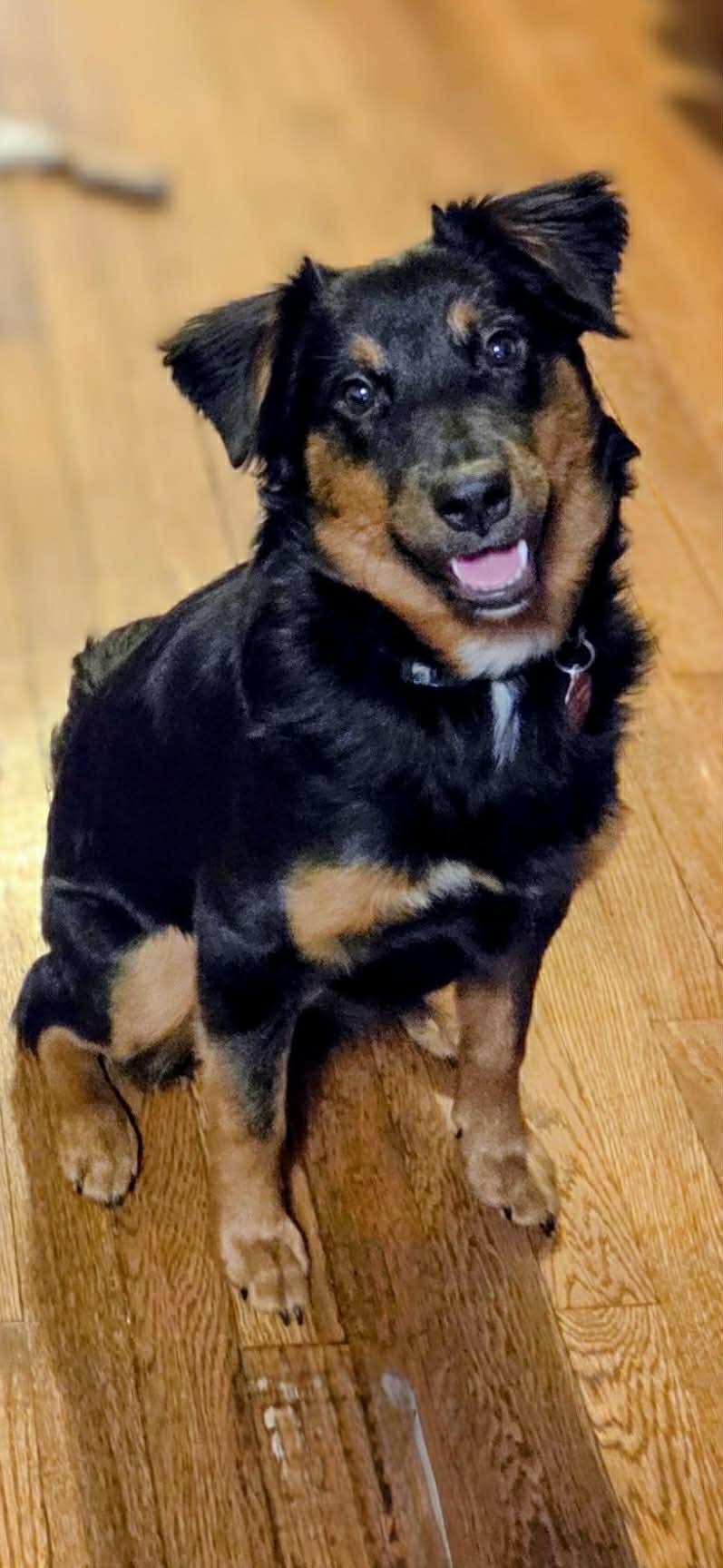 Mindy_la thumbnail 3