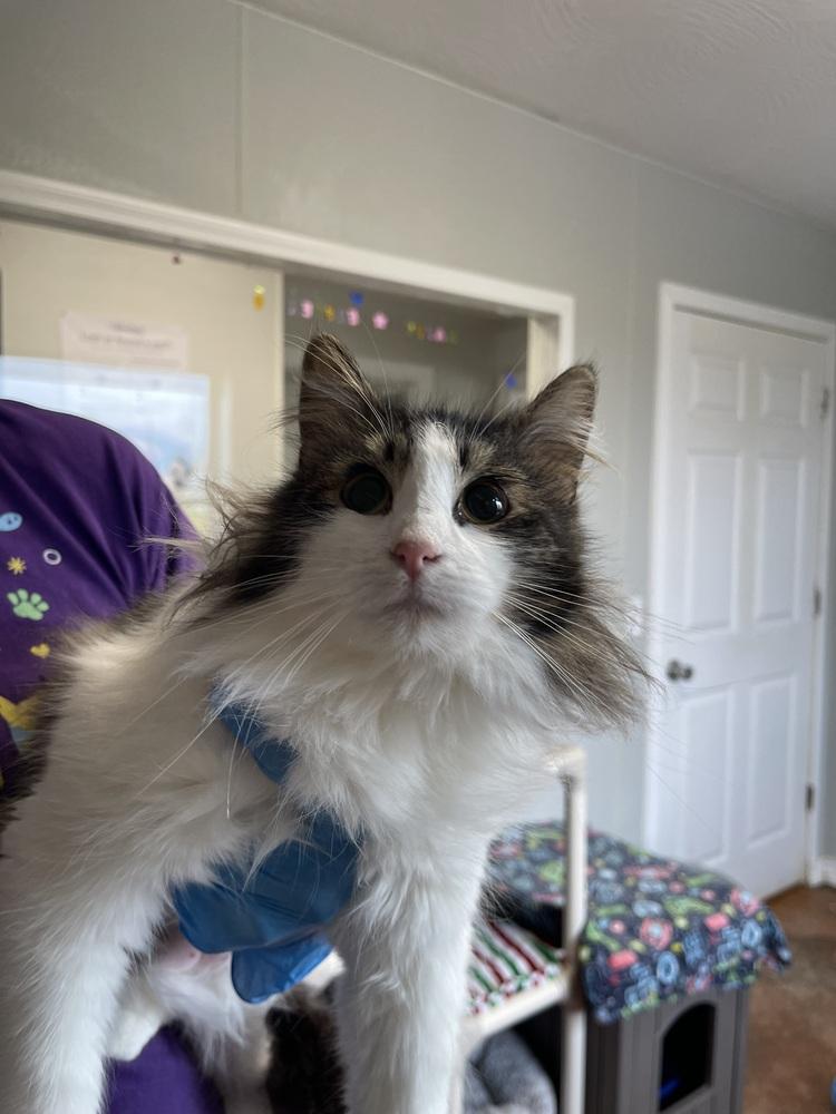 Luna Lou — thumbnail 2