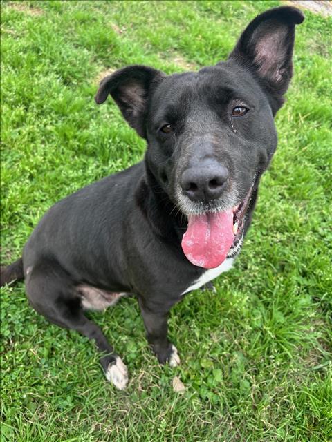 JANEY — thumbnail 2