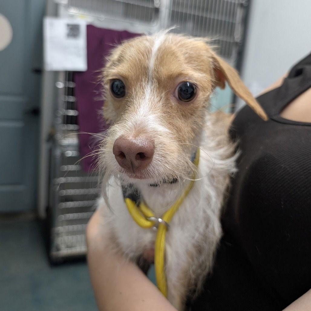 Mr. Bubbles thumbnail 3