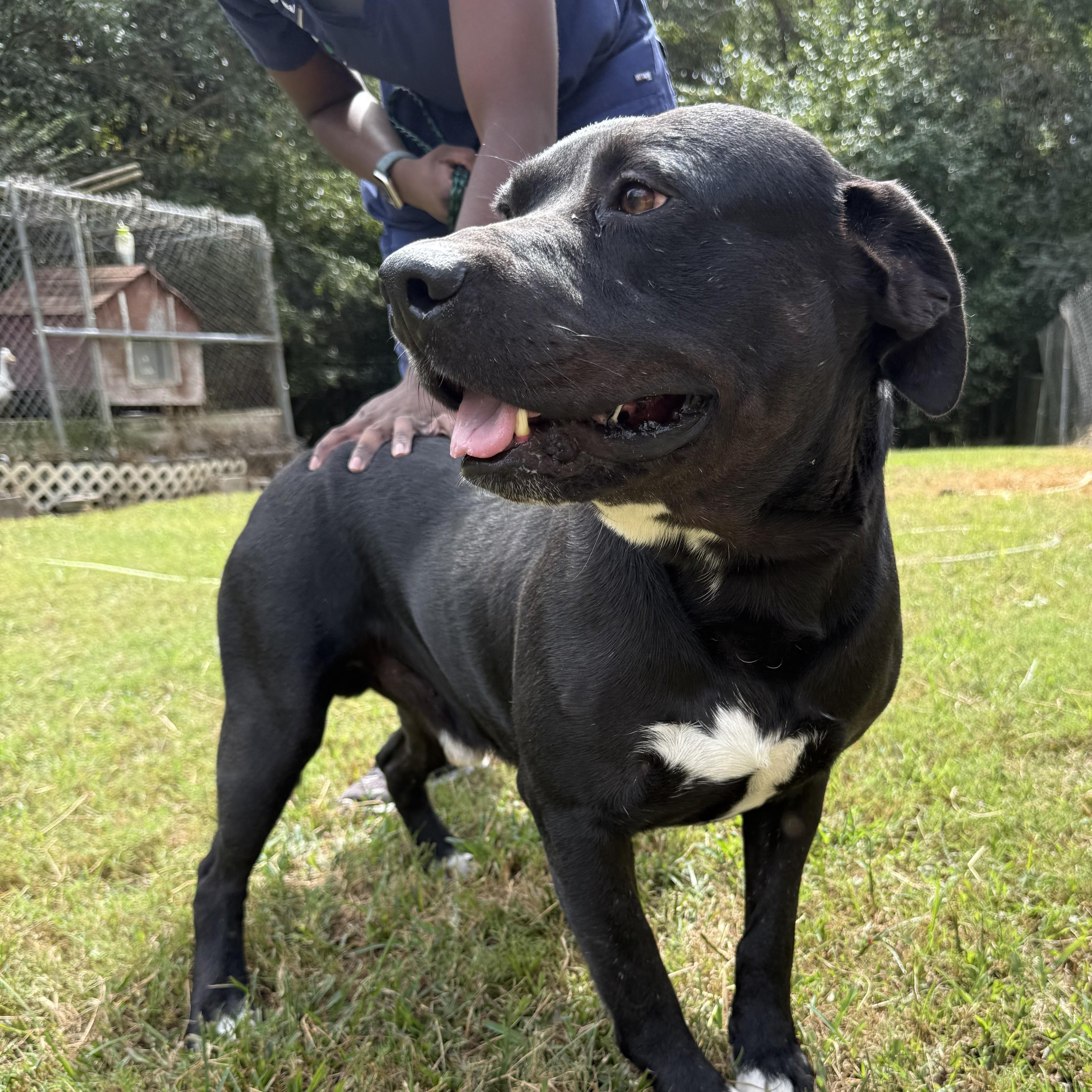 Bobby Joe — thumbnail 6