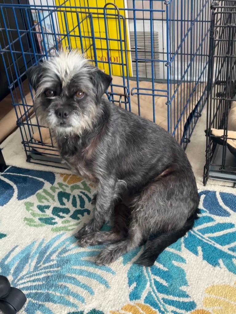 Scarlett Ohara thumbnail 2