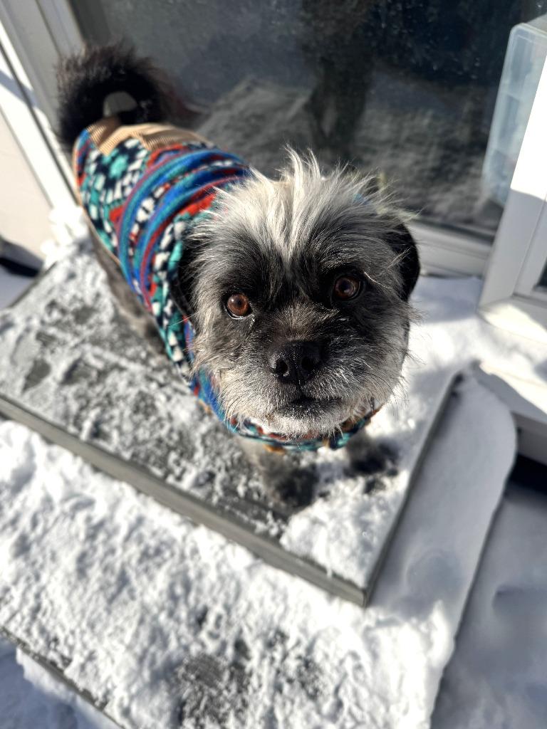 Scarlett Ohara thumbnail 5