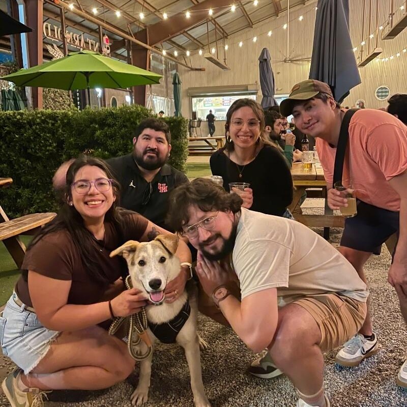 Salt so sweet belly rubs please — thumbnail 5