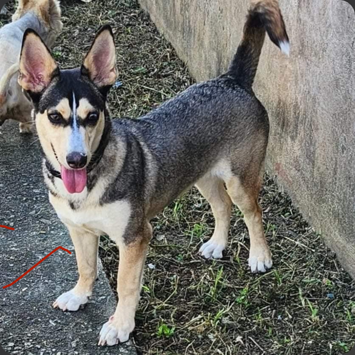 Maya May "your Every