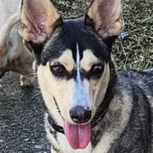 Maya May "your Every thumbnail 2