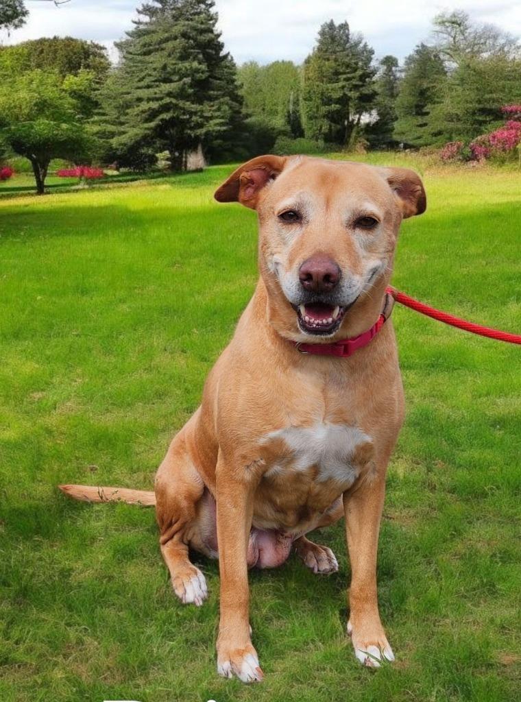 Princess — thumbnail 2