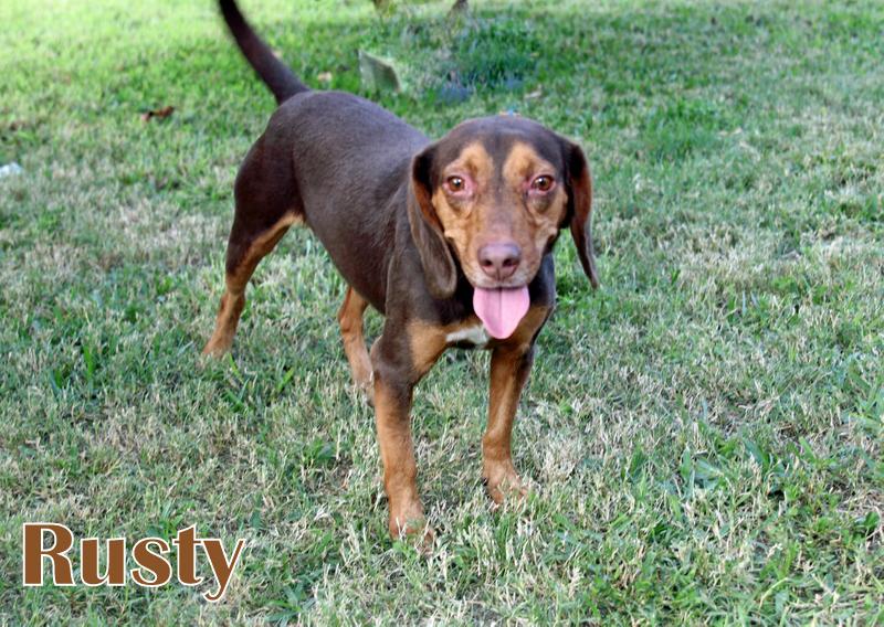 RUSTY photo 1