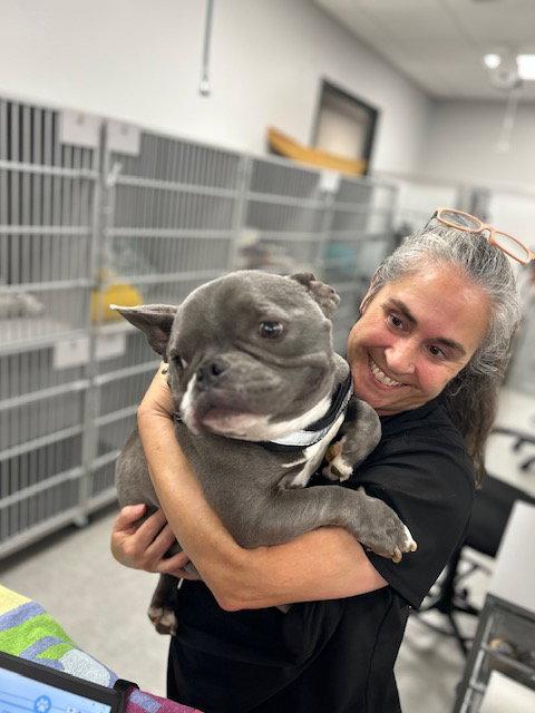 Eeyore, a Adopted American Bulldog in Chambersburg, PA image 2/3