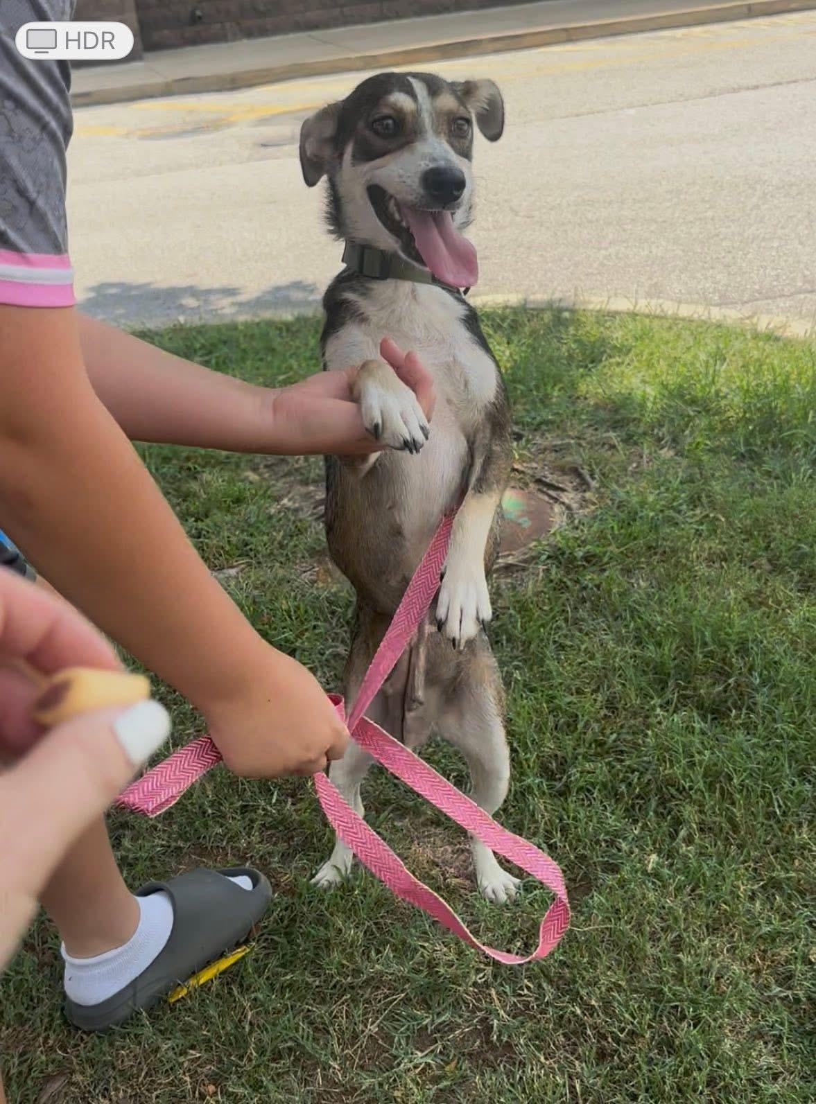 Pip