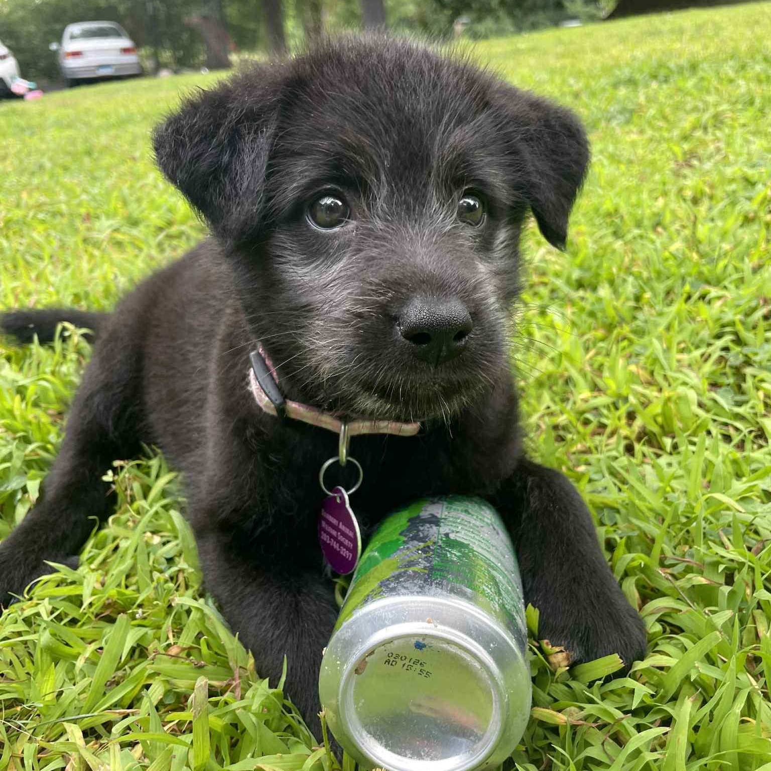 Photo of Bree