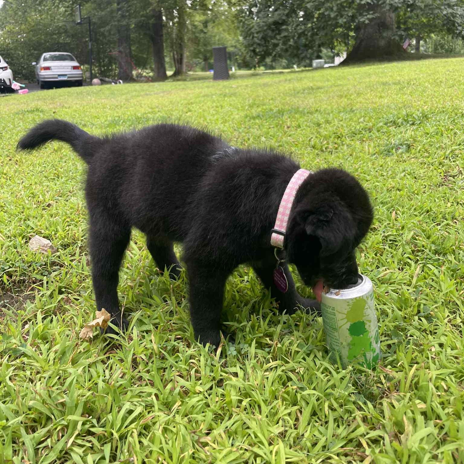 Photo of Bree