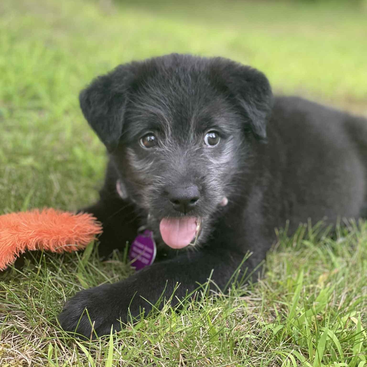 Photo of Bree