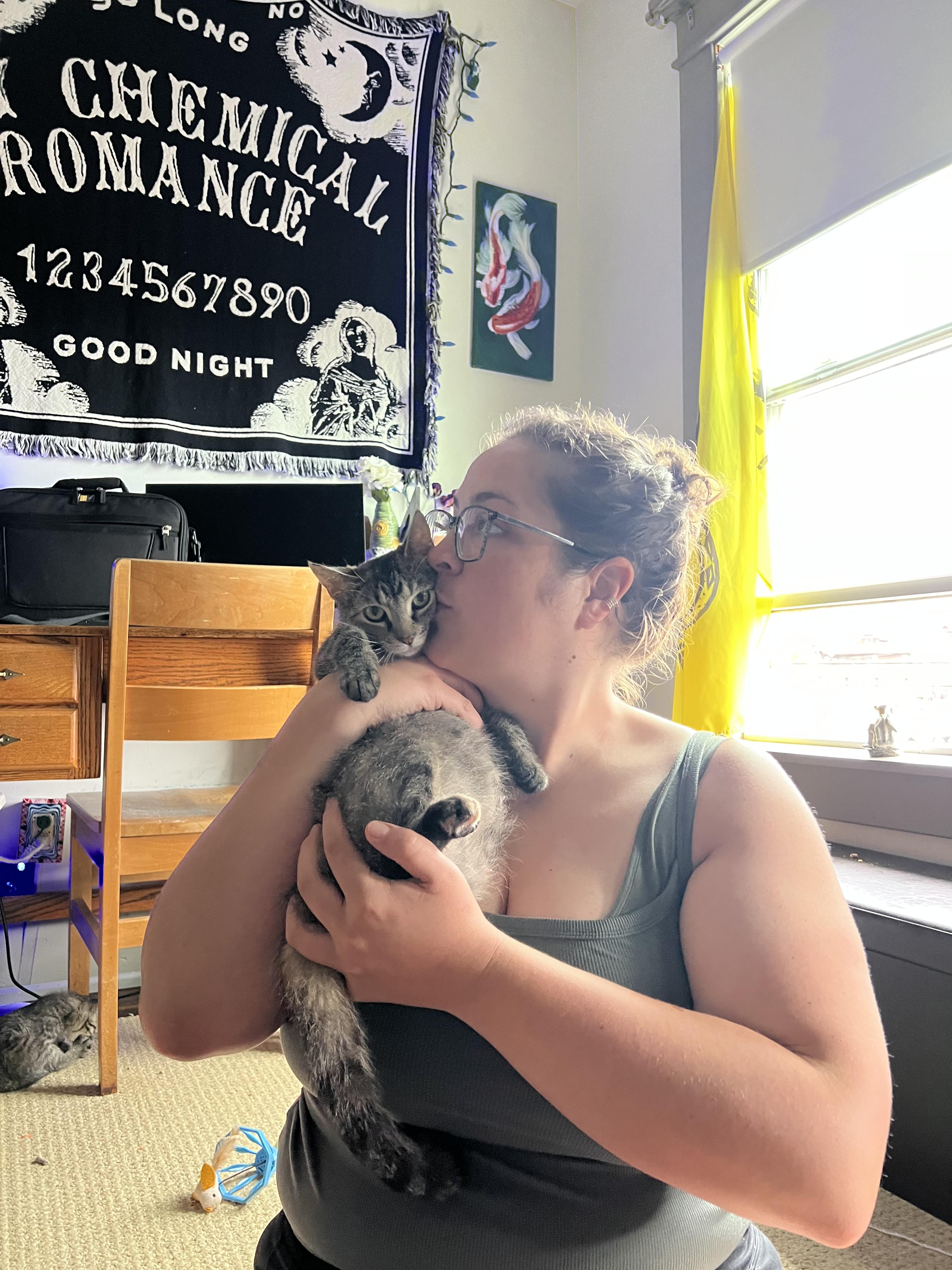 Enlarge Denali, a ADOPTABLE Domestic Short Hair in Columbus, OH image 3/6