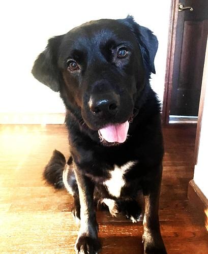Tucker #39