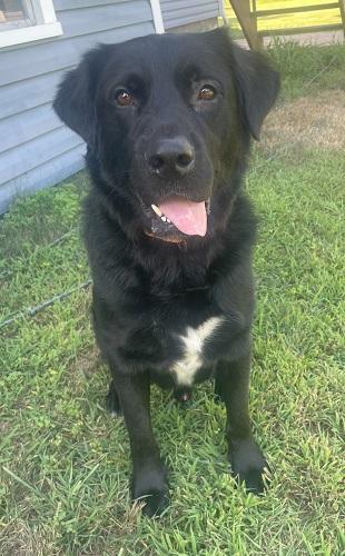 Tucker #39