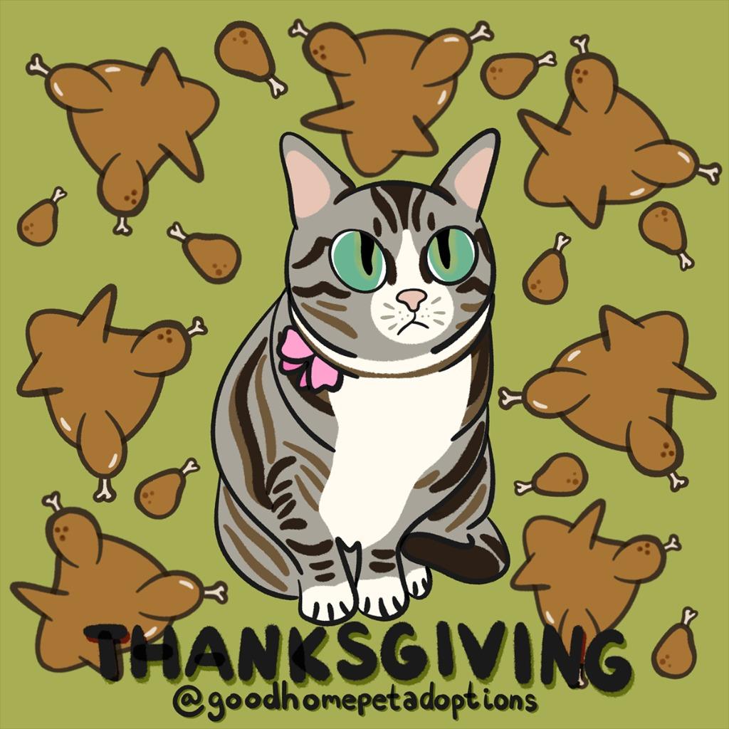 Enlarge Thanksgiving (meet me in foster care!), a Adoptable mixed breed in Brooklyn, NY image 3/5