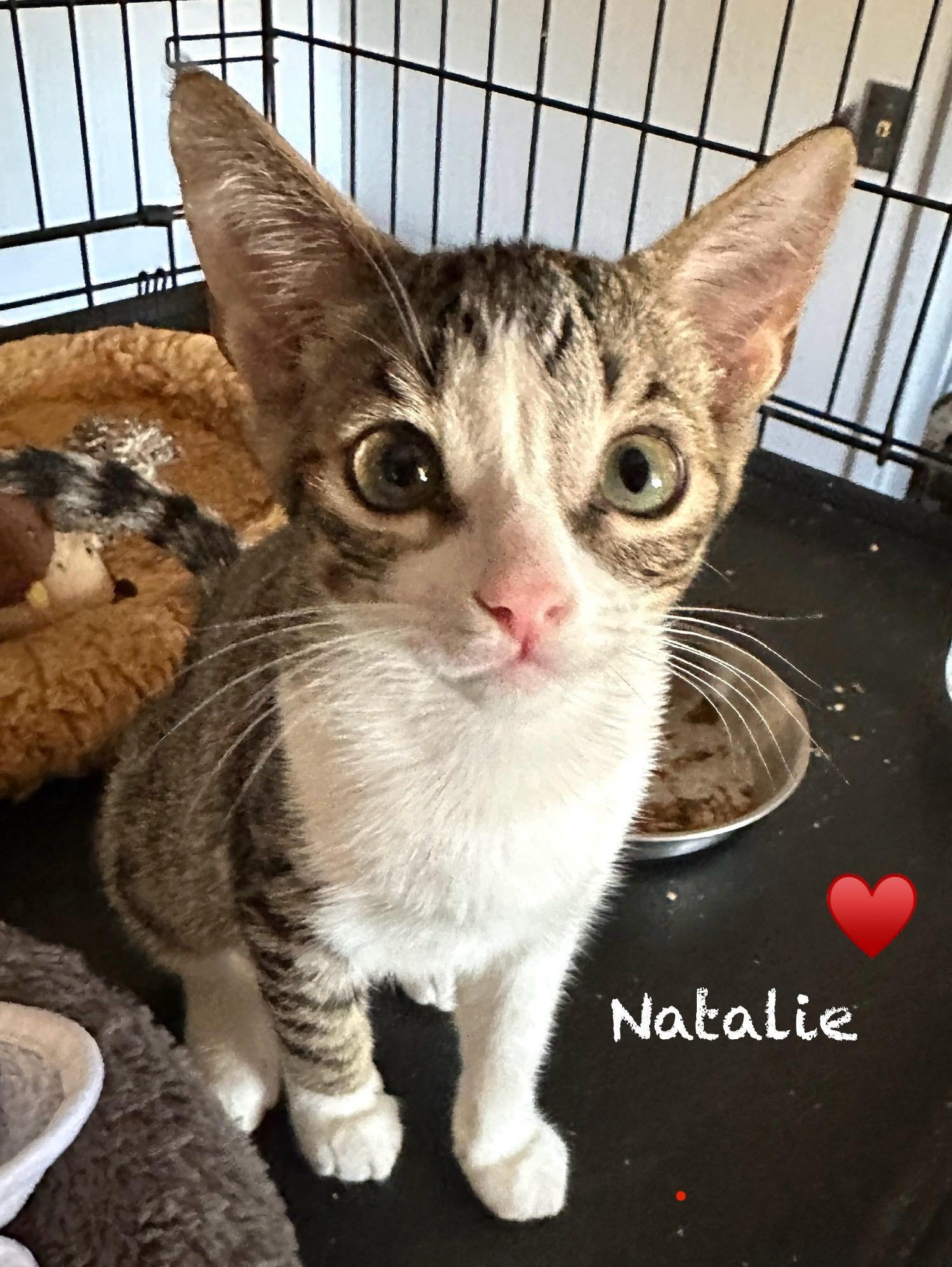 Natalie