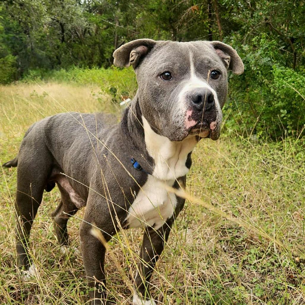 Bubba Gump JuM — thumbnail 3