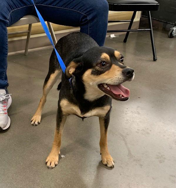 Mama P — thumbnail 3