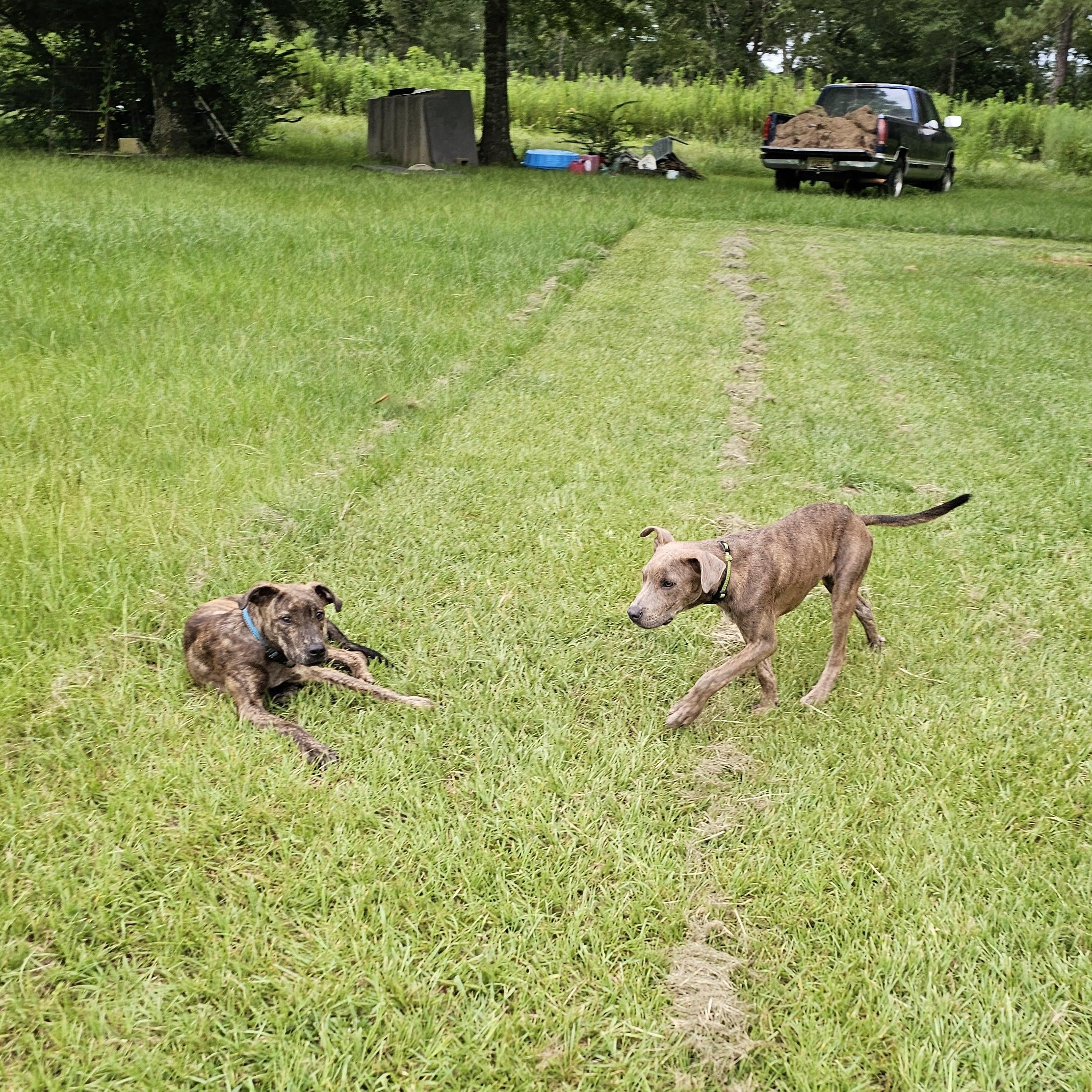 Sputnik photo 2