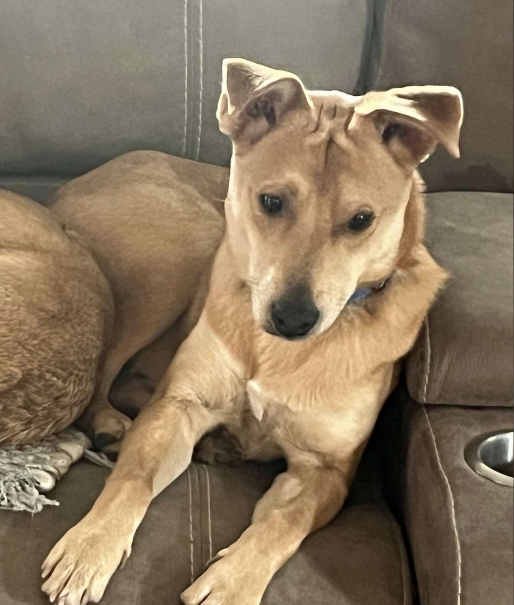 Buddy (TX) photo 2