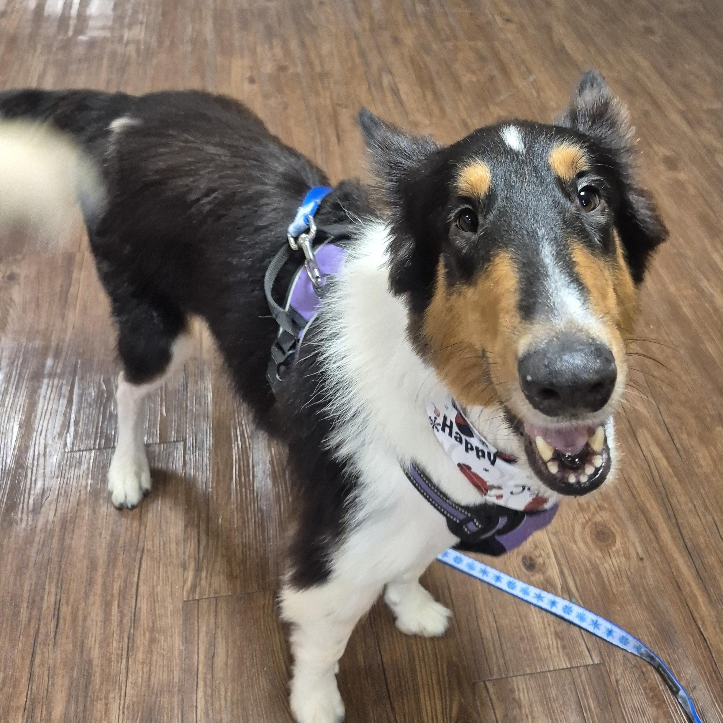 Stash Lightning thumbnail 2