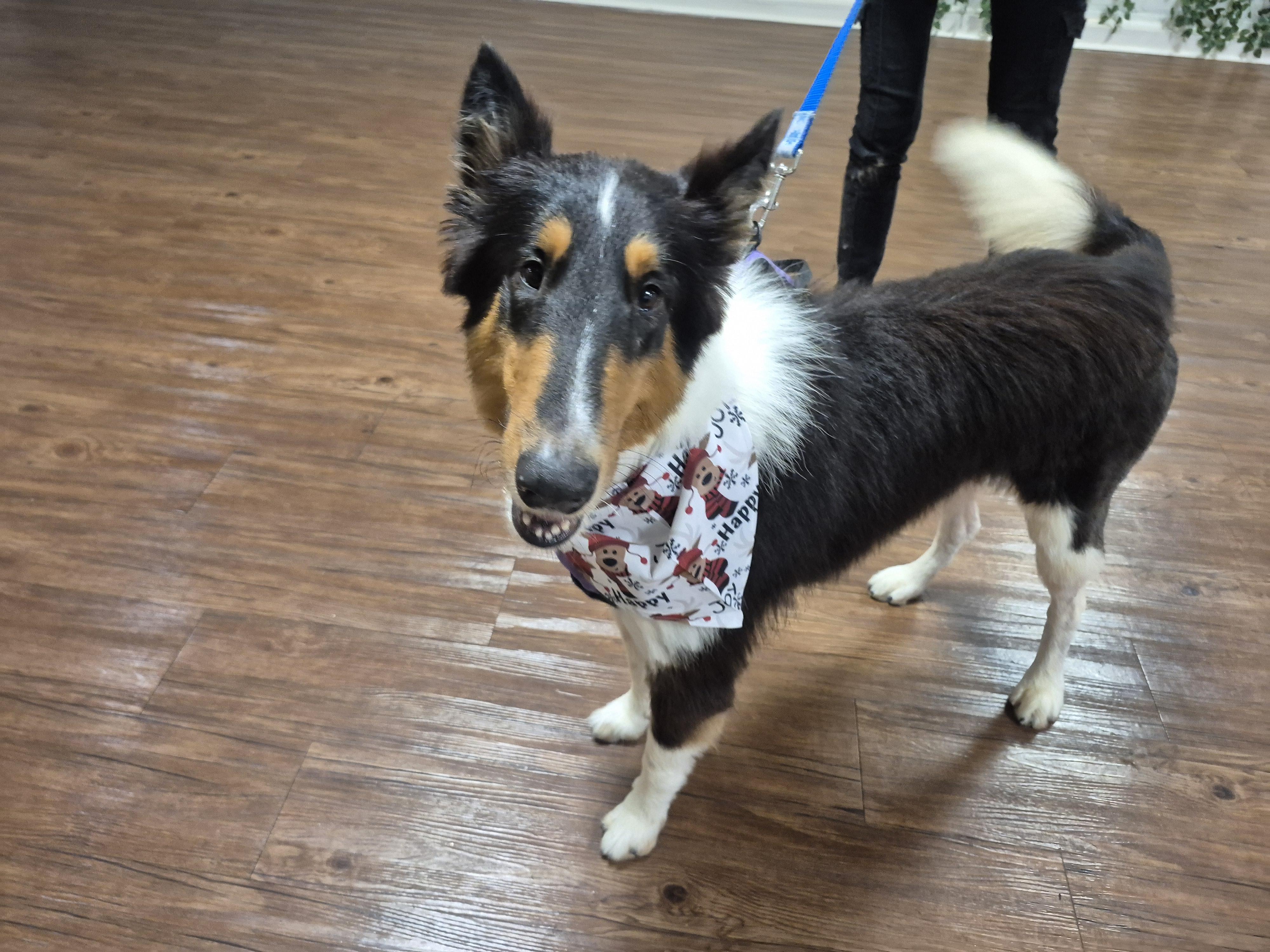 Stash Lightning thumbnail 3