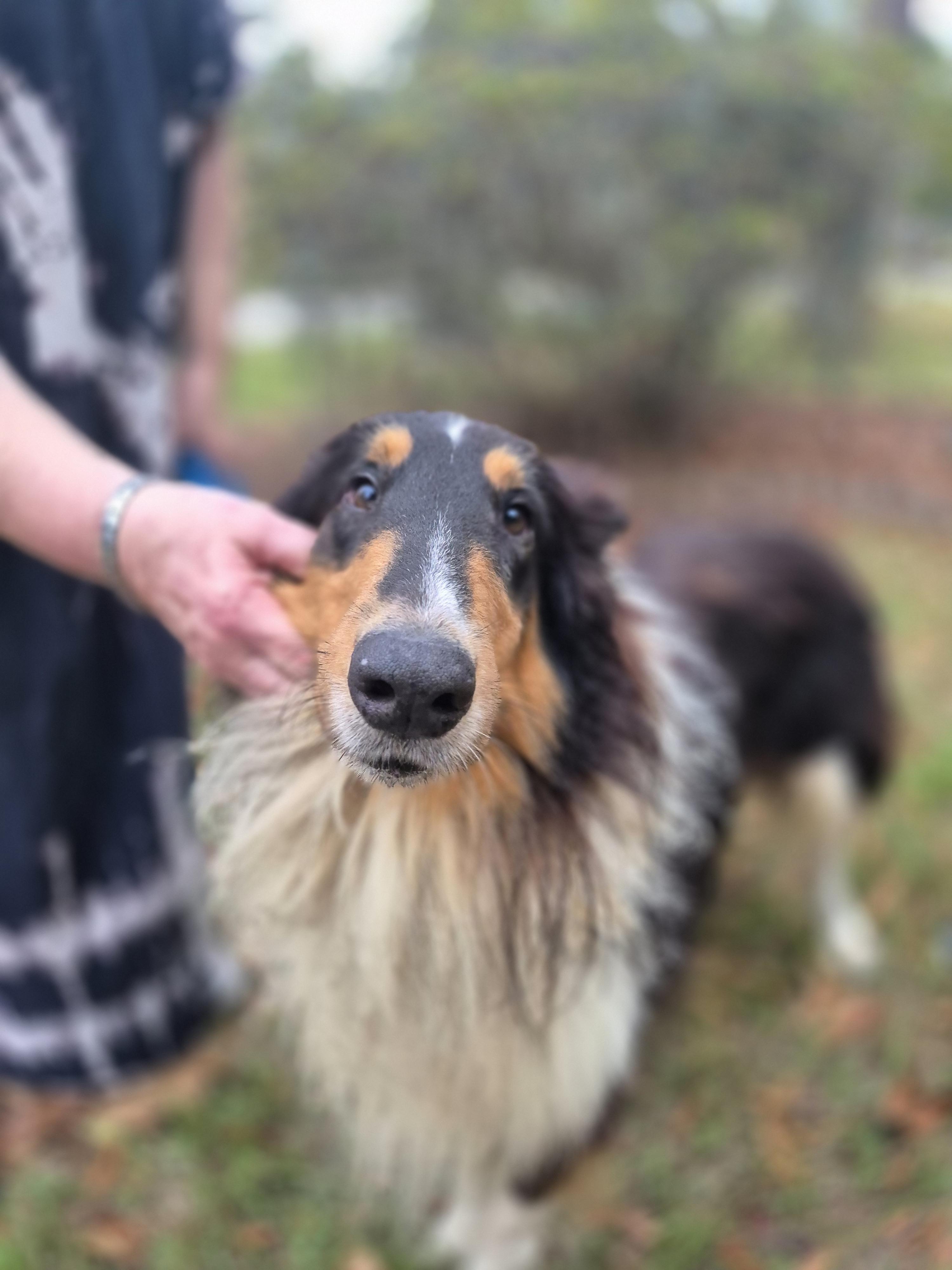 Stash Lightning thumbnail 2