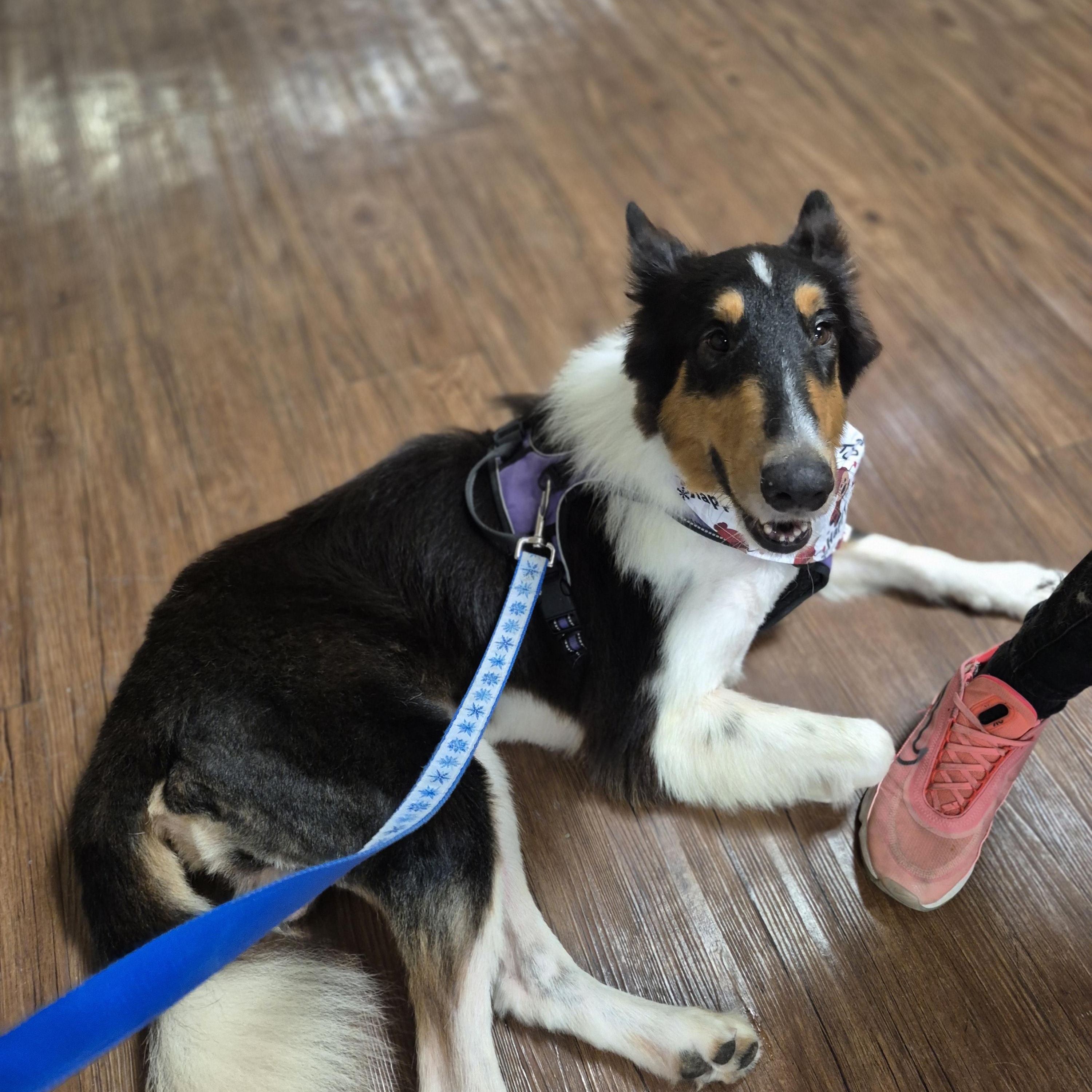 Stash Lightning thumbnail 4