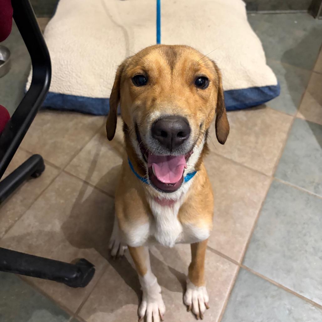 Frank Sinatra — thumbnail 2