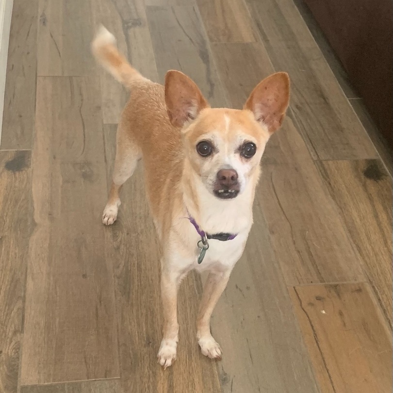 Bravo *Courtesy Post*